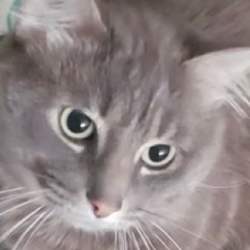 Meet your Posher, Crystal